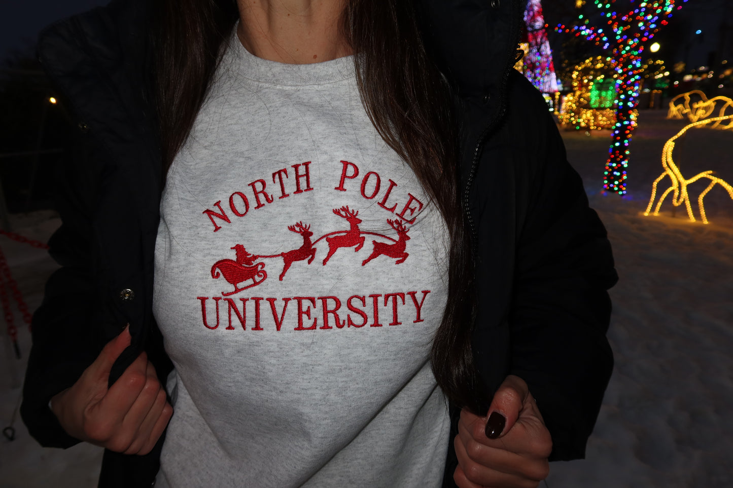 North Pole University