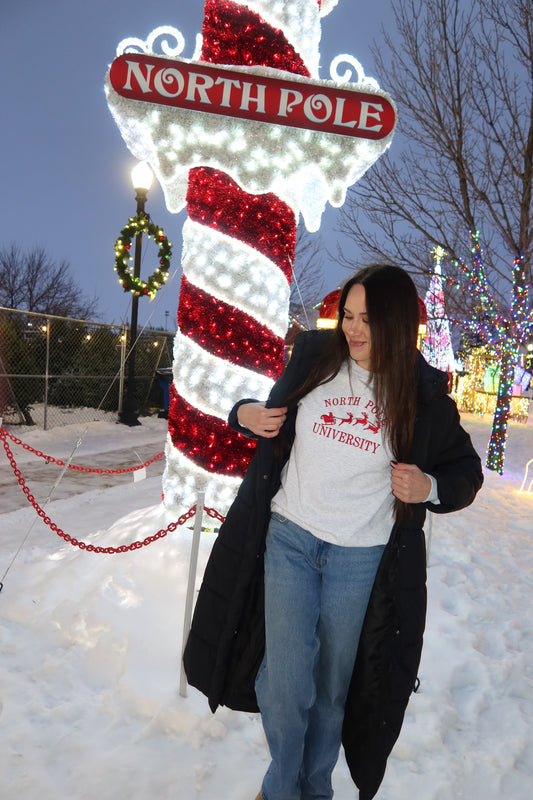 North Pole University