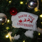 North Pole University