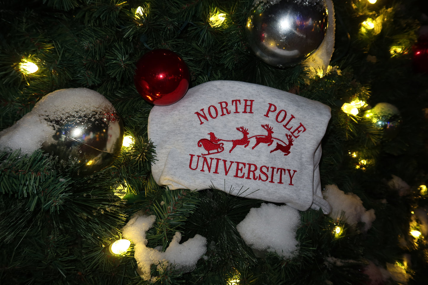 North Pole University