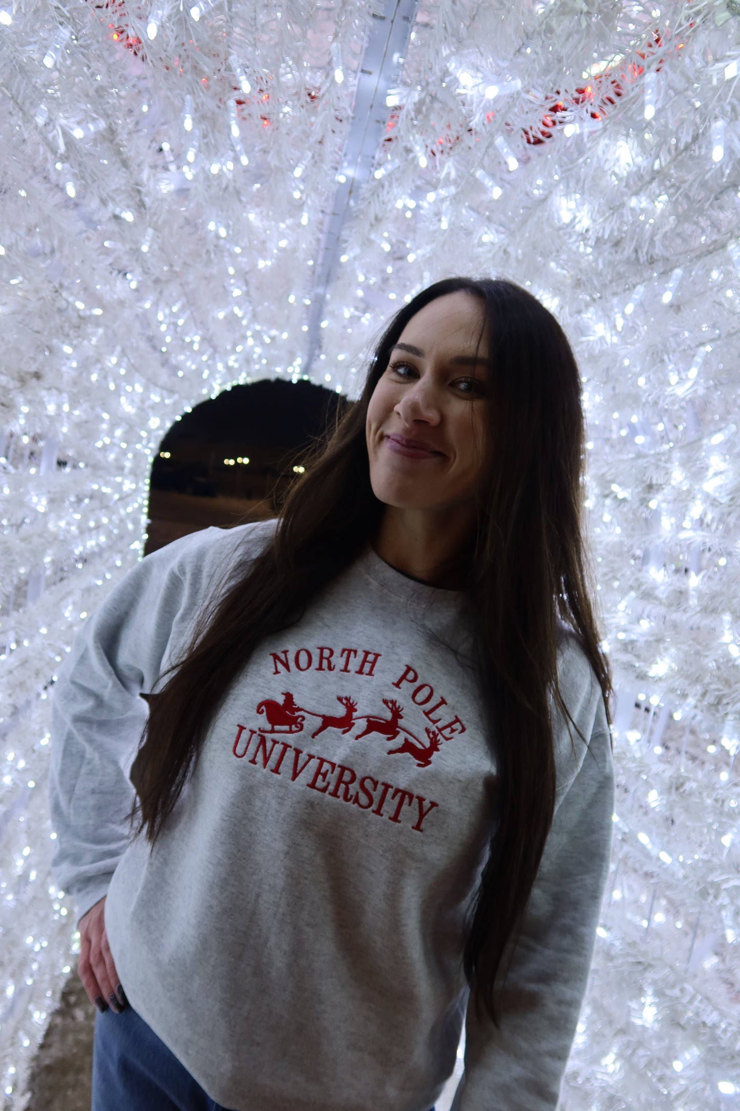 North Pole University